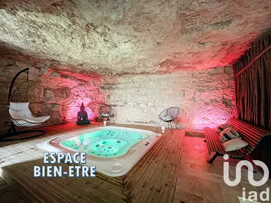 Mansion at Amboise (37400)