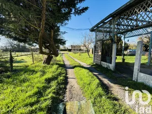 Maison traditionnelle à Rougé (44660)