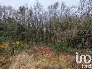 Terrain loisirs à PAIMPONT (35380)