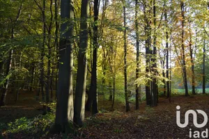 Terrain à DIEUDONNE (60530)