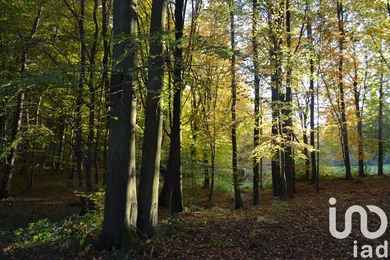 Land at DIEUDONNE (60530)