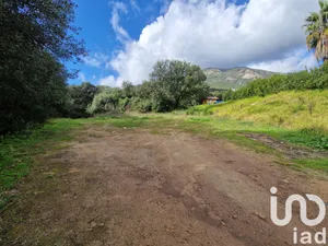 Terrain à bâtir à Ocana (20117)