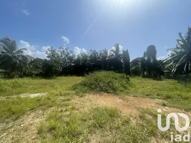 Terrain à bâtir à Baie-Mahault (97122)