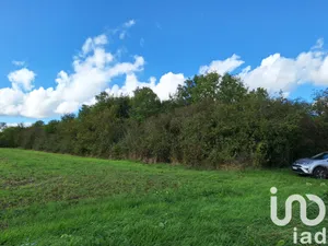 Terrain à Montigny-le-Guesdier (77480)