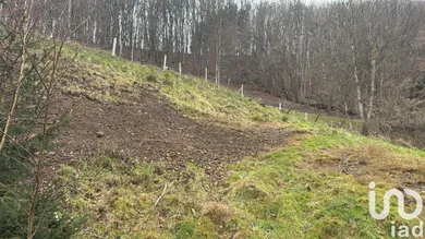 Terrain à Sainte-Marie-aux-Mines (68160)