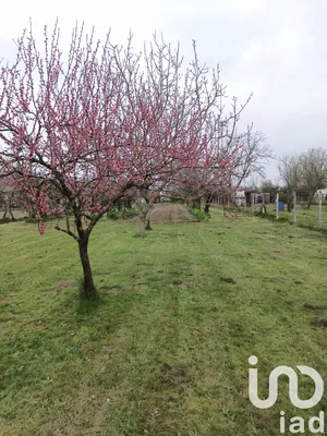Terrain loisirs à Cenon-sur-Vienne (86530)