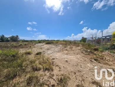 Terrain à bâtir à Petit-Canal (97131)