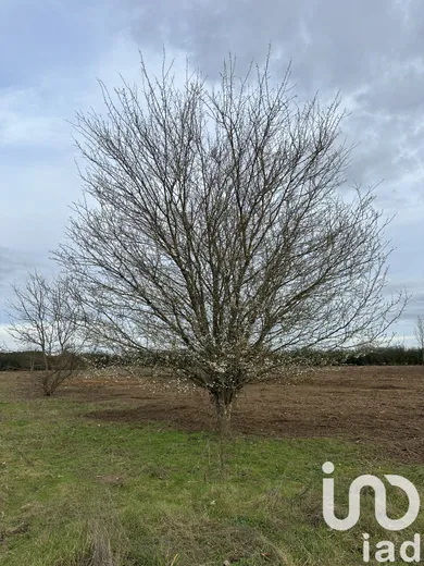 Terrain à Saint-Antoine-de-Breuilh (24230)