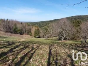 Building plot at Dabo (57850)