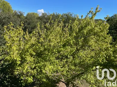 Apartment at Aix-en-Provence (13090)
