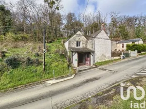 House at Pocé-sur-Cisse (37530)