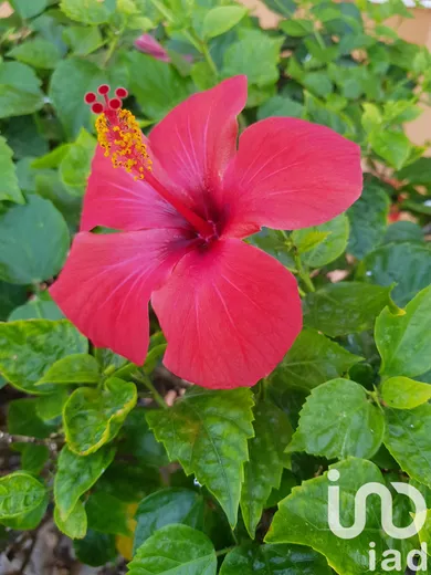 Land at Sainte-Hélène (33480)