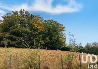 Terrain à bâtir à Lafeuillade-en-Vézie (15130)