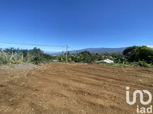 Terrain à Le Tampon (97430)
