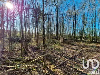 Leisure land in Saint-Firmin-des-Bois (45220)