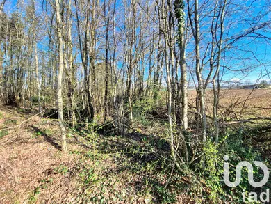Leisure land in Saint-Firmin-des-Bois (45220)