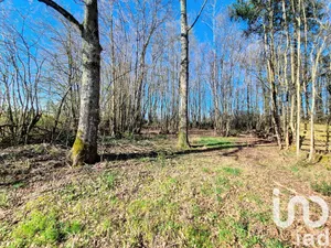 Terrain loisirs à Saint-Firmin-des-Bois (45220)