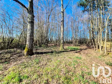 Leisure land at Saint-Firmin-des-Bois (45220)