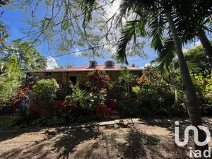 Traditional house at Morne-à-l'Eau (97111)