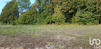Terrain à bâtir à Neuvy (51310)
