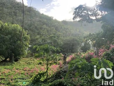 Building plot at Saint Martin (97150)