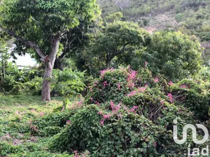 Building plot in Saint Martin (97150)
