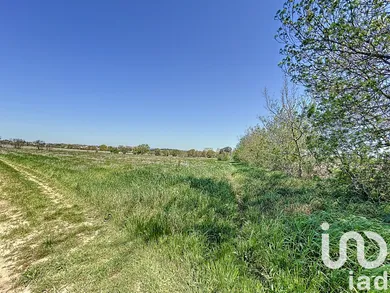 Terrain agricole  à Espondeilhan (34290)