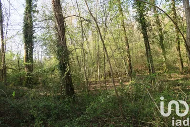 Terrain agricole à MAZEROLLES (86320)