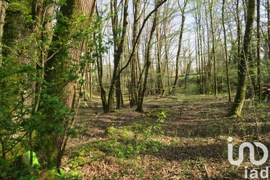 Terrain agricole  à MAZEROLLES (86320)