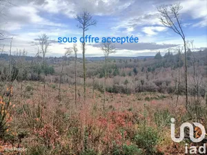 Terrain loisirs à Saint Sylvestre (87240)