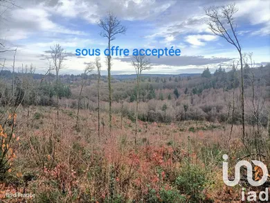 Terrain loisirs à Saint Sylvestre (87240)