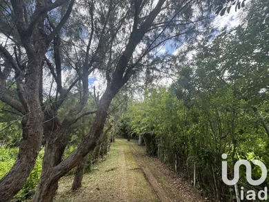 Terrain à bâtir à Saint-Paul (97411)