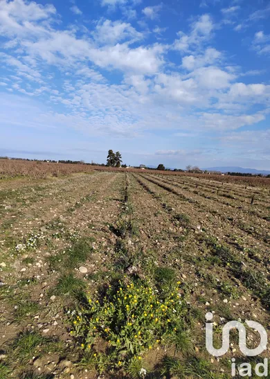 Terrain à SAINTE CECILE LES VIGNES (84290)