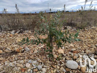 Land at ROCHEGUDDE (26790)