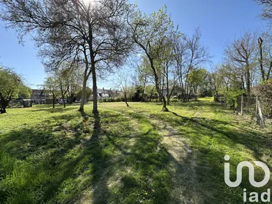Land in LES BORDES (36100)