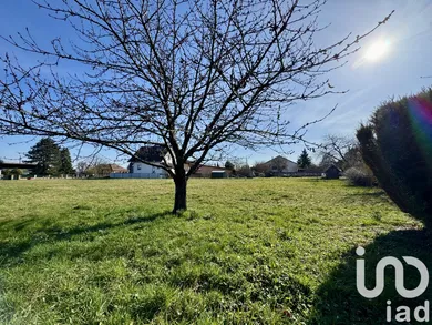 Land in Uffholtz (68700)
