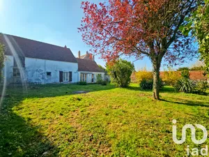 Village house at Brie-Comte-Robert (77170)
