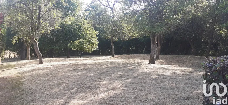 Terrain à Tenteling (57980) · 56 000 €
