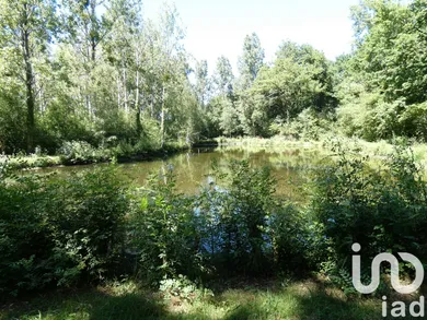 Leisure land in ST SULPICE DES LANDES (44540)