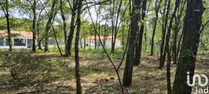 Terrain à bâtir à Moustey (40410)