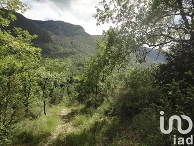 Terrain agricole  à Le MAS (06910)
