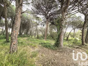 Farm land at Puget-sur-Argens (83480)