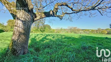 Terrain à bâtir à Allaire (56350)