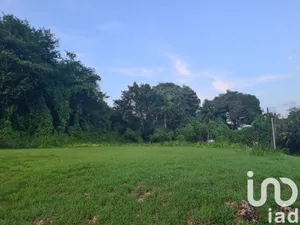 Terrain à bâtir à Morne-à-l'Eau (97111)