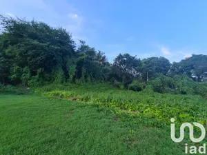 Building plot in Morne-à-l'Eau (97111)