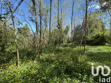 Land at Poggio-mezzana (20230) — 4/8