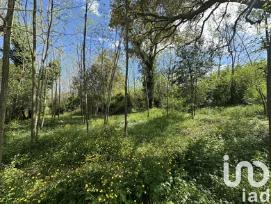 Land at Poggio-mezzana (20230) — 3/8