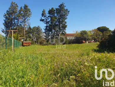 Terrain à Canet (11200)