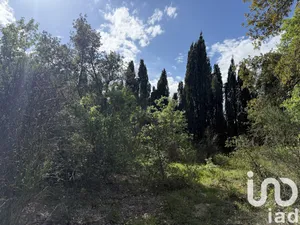 Terrain loisirs à Passa (66300)