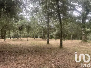 Building plot at Lagorce (07150)